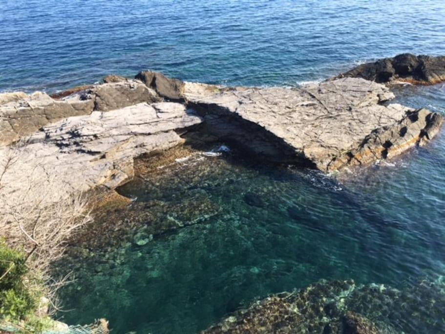New Suite Sul Mare N. 2 Recco Eksteriør bilde
